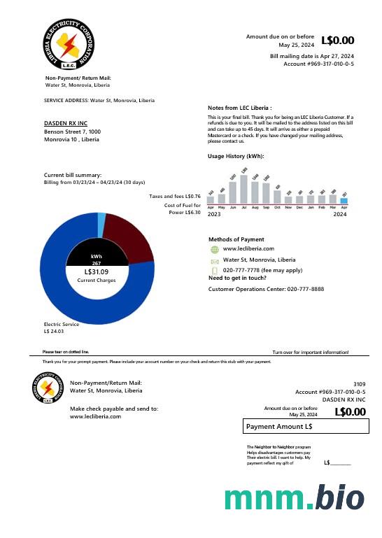 Liberia Electricity Corporation rachunek za usługi komunalne szablon w formacie Word i PDF